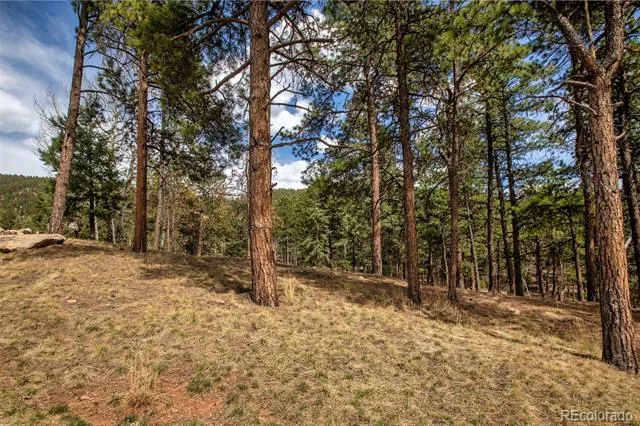 271 Thunder Ridge Woodland Park, CO 80863