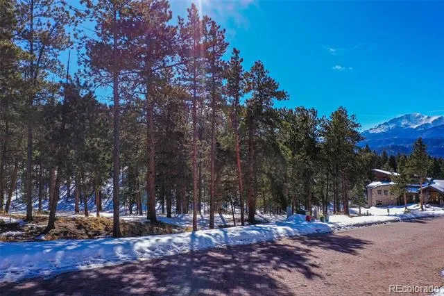 271 Thunder Ridge Woodland Park, CO 80863