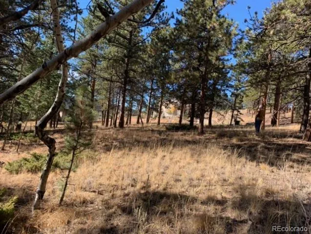 271 Thunder Ridge Woodland Park, CO 80863