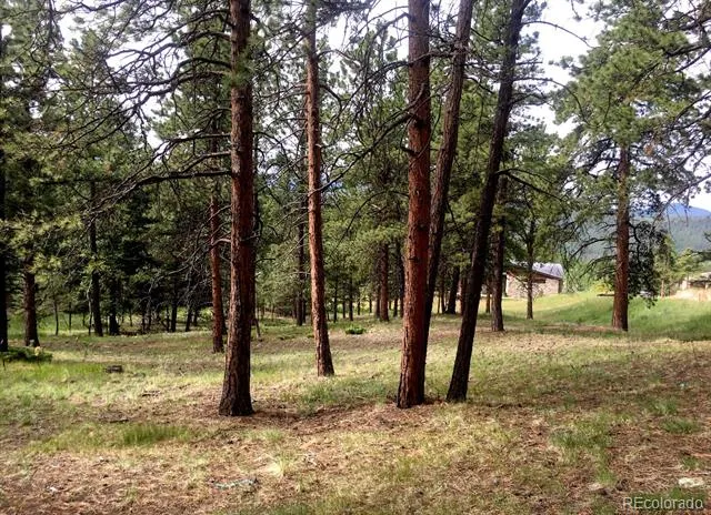 271 Thunder Ridge Woodland Park, CO 80863