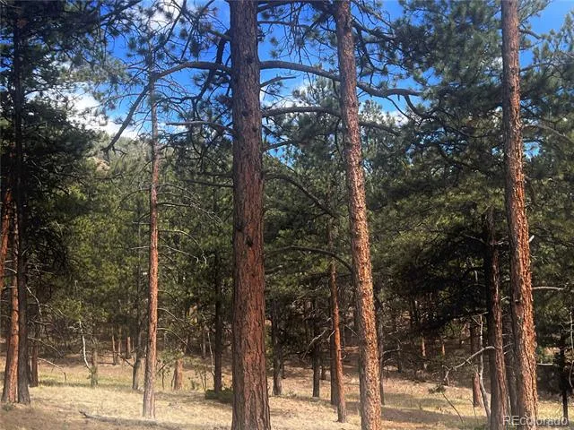 271 Thunder Ridge Woodland Park, CO 80863