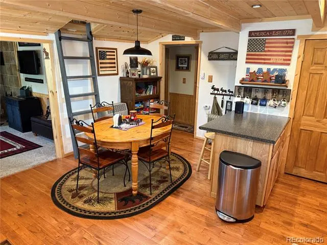 81 GCR 461 Grand Lake, CO 80447