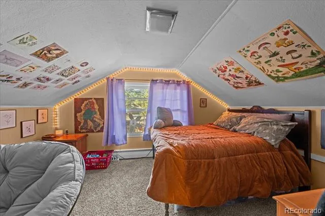 40 Ski Road Allenspark, CO 80510