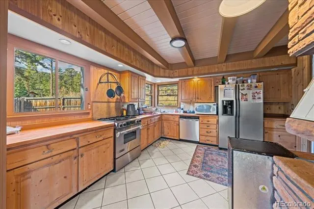 40 Ski Road Allenspark, CO 80510