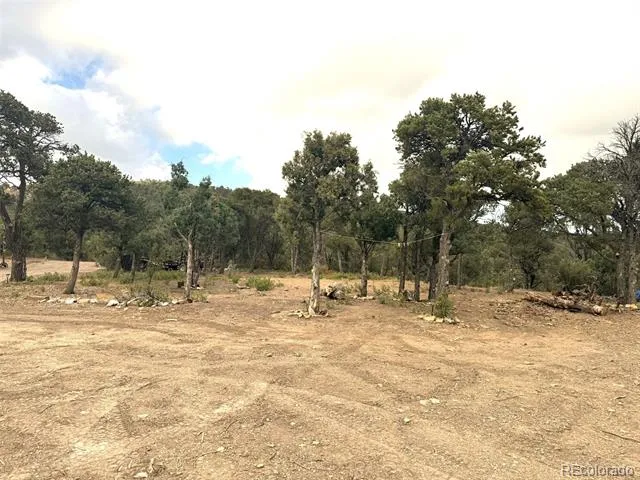 14585 Indian Spring Drive Trinidad, CO 81082