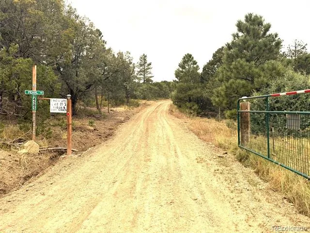 14585 Indian Spring Drive Trinidad, CO 81082
