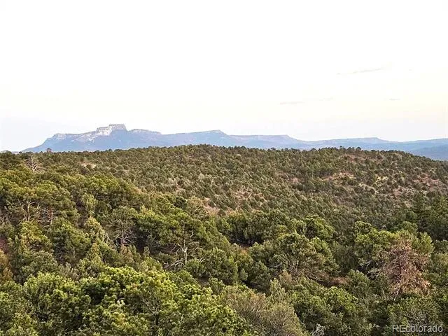 14585 Indian Spring Drive Trinidad, CO 81082