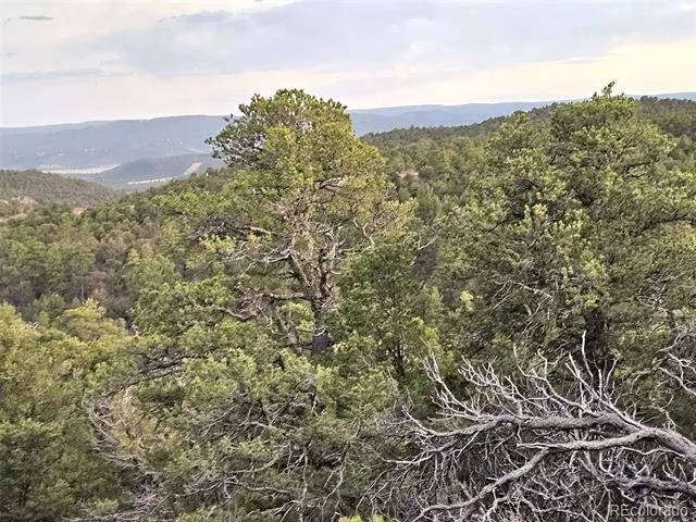 14585 Indian Spring Drive Trinidad, CO 81082