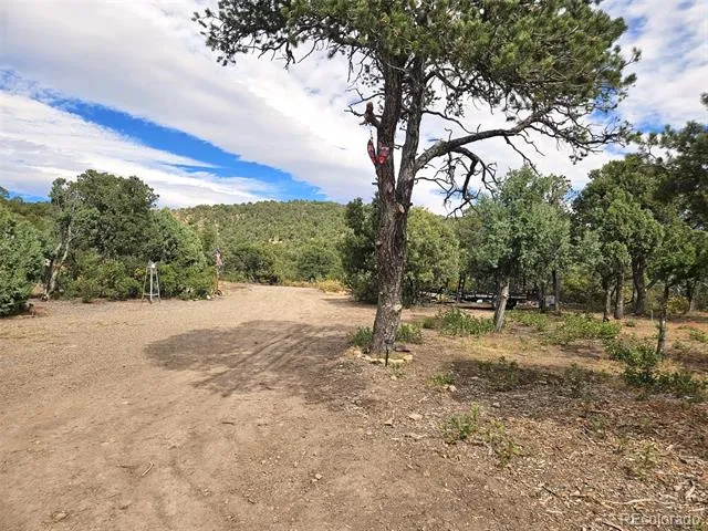 14585 Indian Spring Drive Trinidad, CO 81082