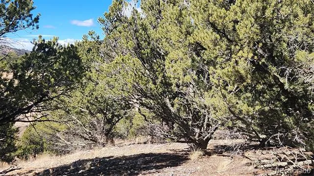 311 Kit Carson Trail Cotopaxi, CO 81223