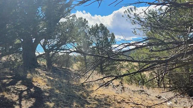 311 Kit Carson Trail Cotopaxi, CO 81223