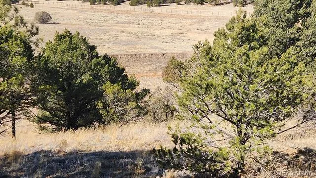 311 Kit Carson Trail Cotopaxi, CO 81223
