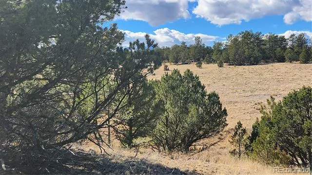 311 Kit Carson Trail Cotopaxi, CO 81223