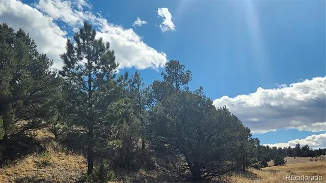 311 Kit Carson Trail Cotopaxi, CO 81223