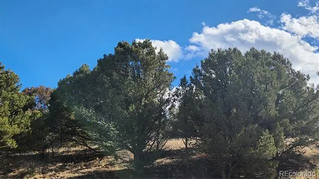 311 Kit Carson Trail Cotopaxi, CO 81223