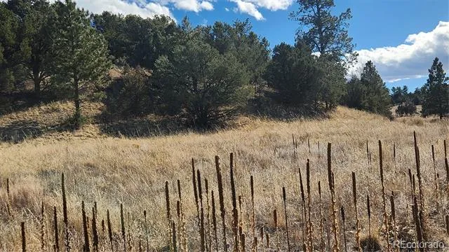 311 Kit Carson Trail Cotopaxi, CO 81223