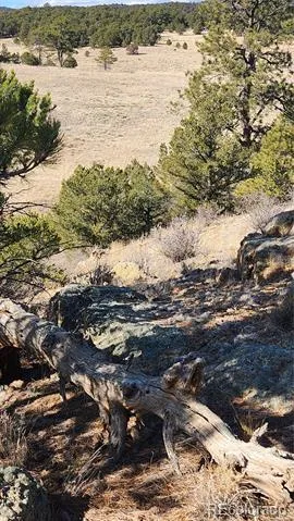 311 Kit Carson Trail Cotopaxi, CO 81223
