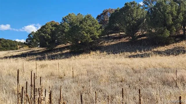 311 Kit Carson Trail Cotopaxi, CO 81223