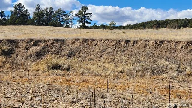 311 Kit Carson Trail Cotopaxi, CO 81223