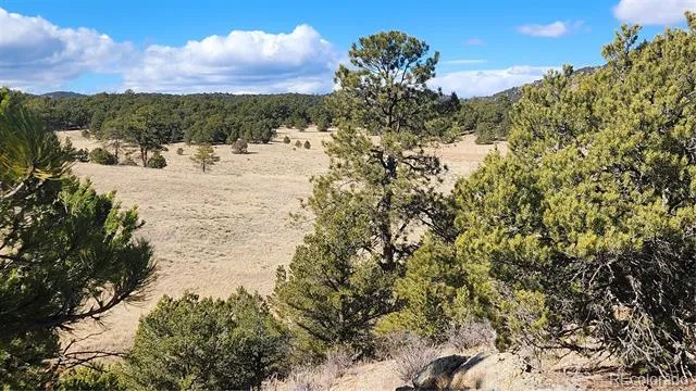 311 Kit Carson Trail Cotopaxi, CO 81223