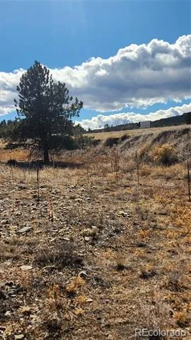 311 Kit Carson Trail Cotopaxi, CO 81223