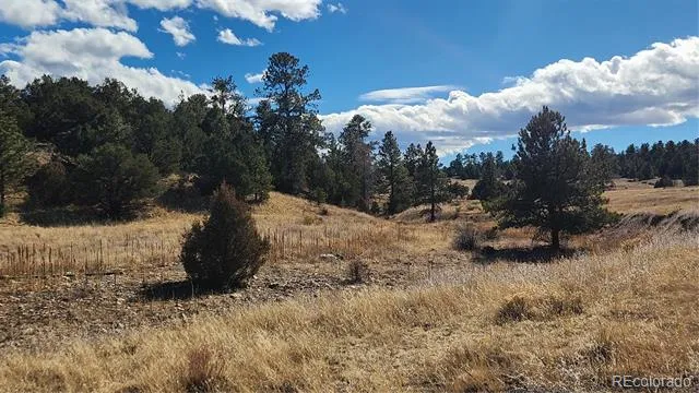 311 Kit Carson Trail Cotopaxi, CO 81223
