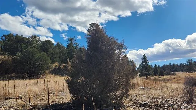 311 Kit Carson Trail Cotopaxi, CO 81223