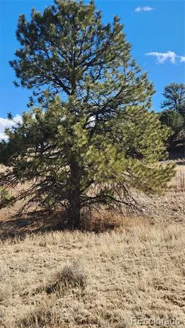 311 Kit Carson Trail Cotopaxi, CO 81223