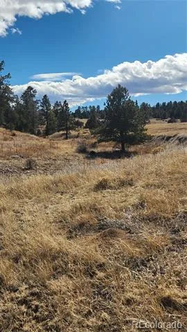 311 Kit Carson Trail Cotopaxi, CO 81223