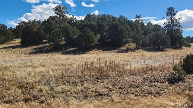 311 Kit Carson Trail Cotopaxi, CO 81223