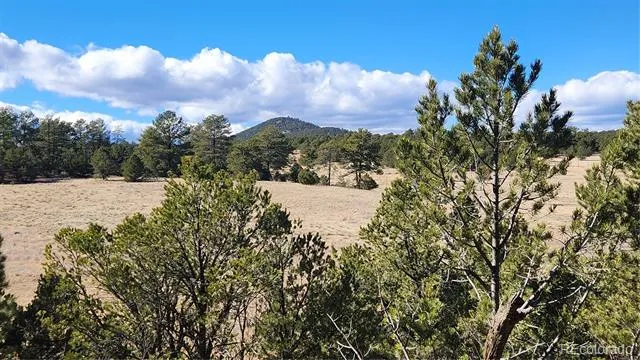 311 Kit Carson Trail Cotopaxi, CO 81223