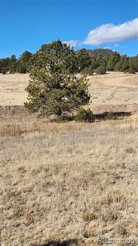 311 Kit Carson Trail Cotopaxi, CO 81223