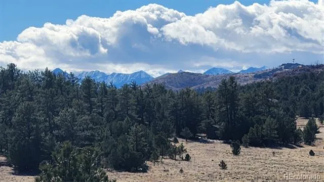 311 Kit Carson Trail Cotopaxi, CO 81223