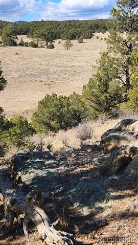 311 Kit Carson Trail Cotopaxi, CO 81223