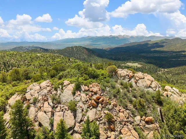2891 Bird Point Drive Cotopaxi, CO 81223
