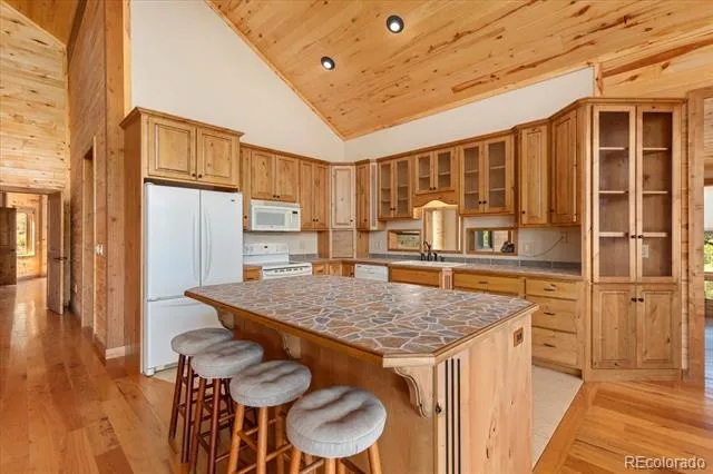 2891 Bird Point Drive Cotopaxi, CO 81223