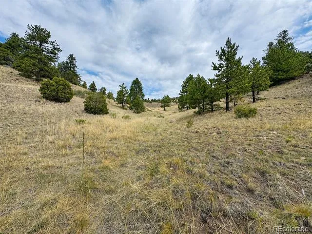 1054 Keepsake Loop Westcliffe, CO 81252