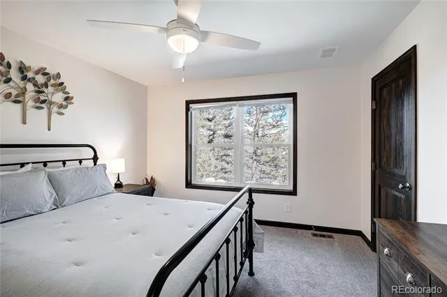 2755 Redhill Road Fairplay, CO 80440