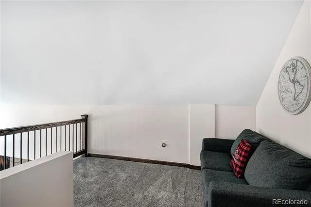 2755 Redhill Road Fairplay, CO 80440
