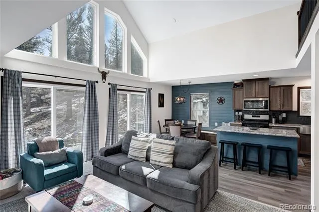2755 Redhill Road Fairplay, CO 80440