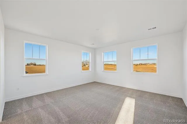 1162 Weller Street Timnath, CO 80547