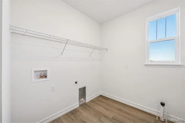 1162 Weller Street Timnath, CO 80547
