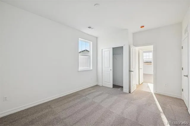 1162 Weller Street Timnath, CO 80547