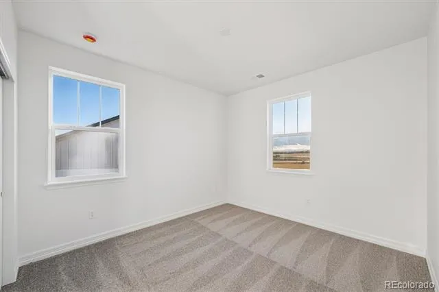 1162 Weller Street Timnath, CO 80547