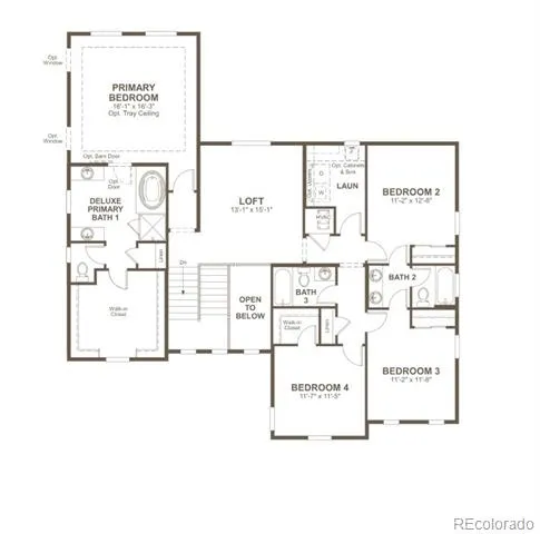 1162 Weller Street Timnath, CO 80547