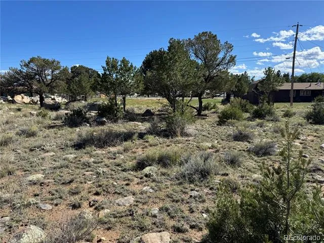 17-22 Garfield Avenue Buena Vista, CO 81211