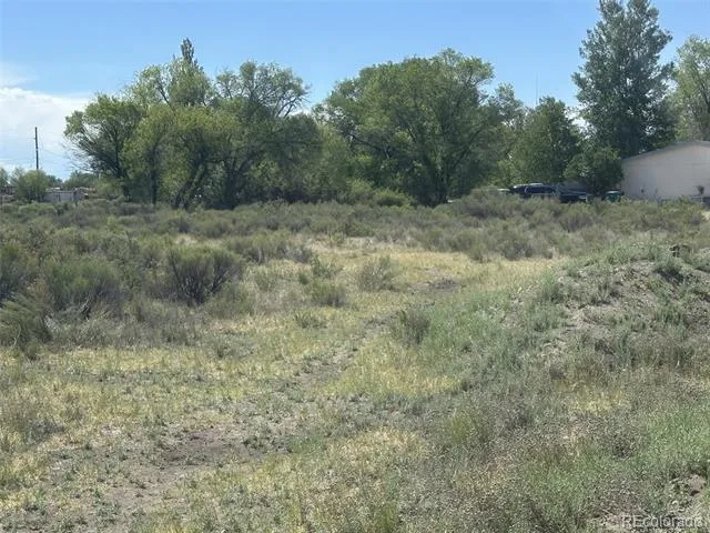 McKinney/White Pine Alamosa, CO 81101