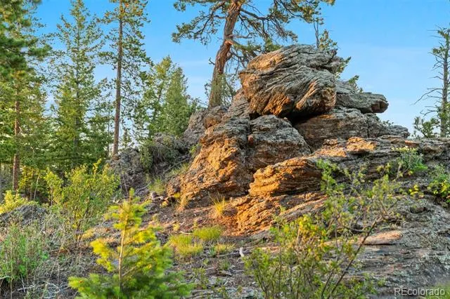 6391 Canyon Creek Road Evergreen, CO 80439