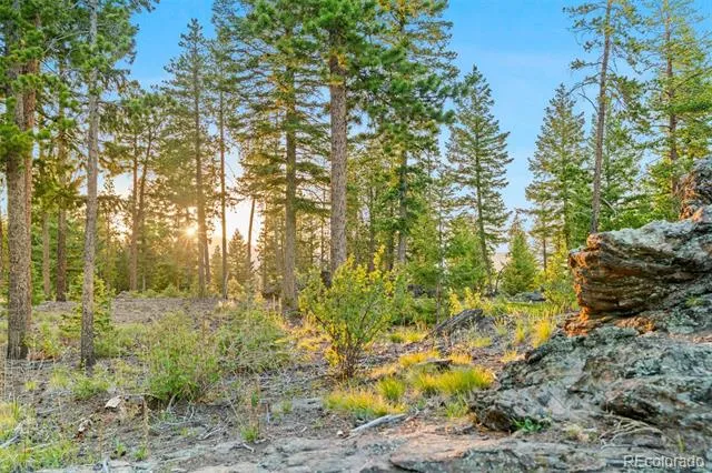 6391 Canyon Creek Road Evergreen, CO 80439