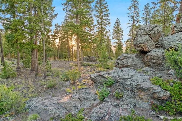 6391 Canyon Creek Road Evergreen, CO 80439